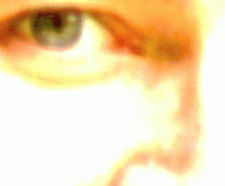 Click to see special Java applet effects